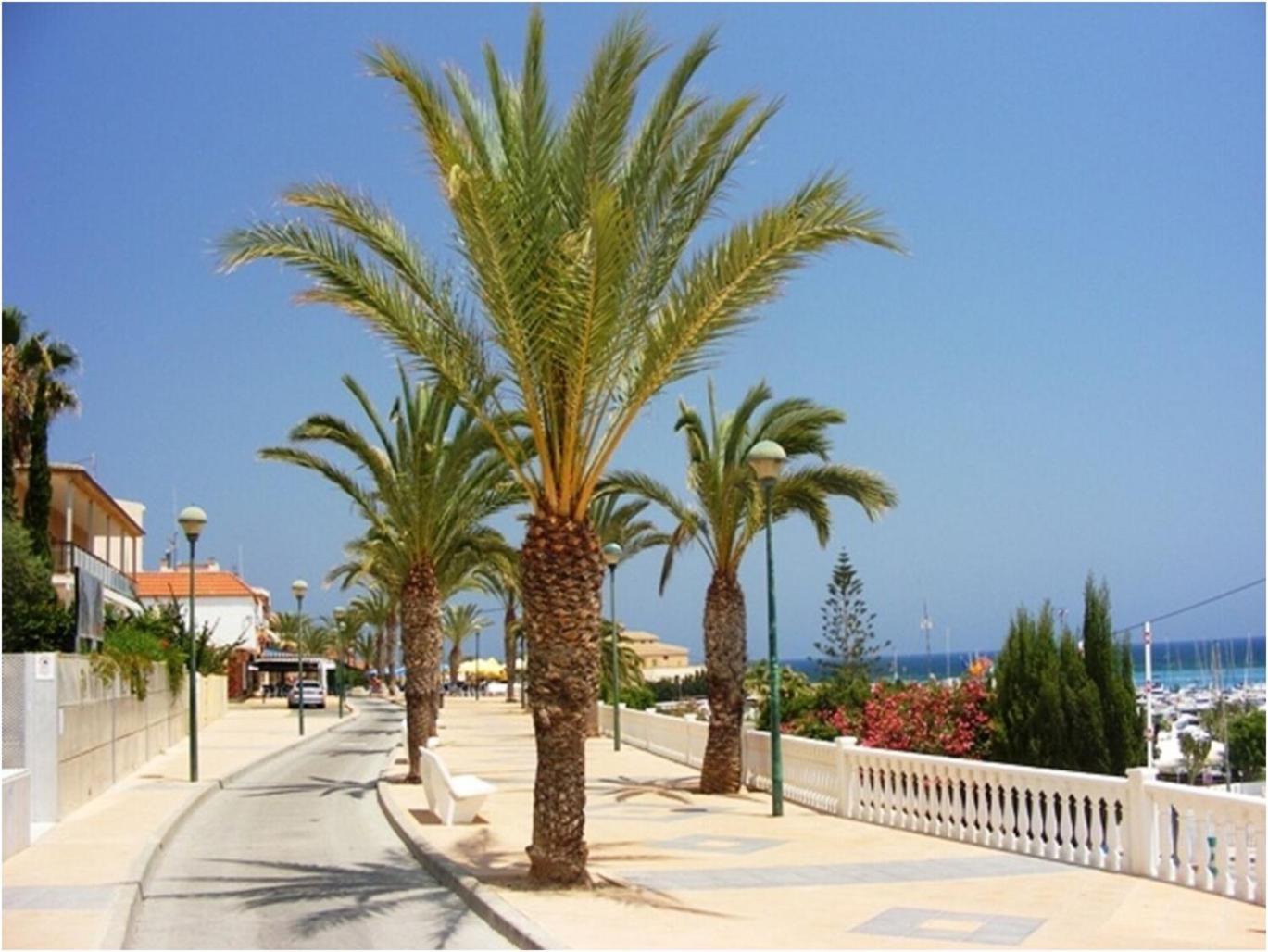Torre De La Horadada - Modern And Comfortable 2 Bedroom Apartment Close To The Beach Torre de la Horadada Экстерьер фото